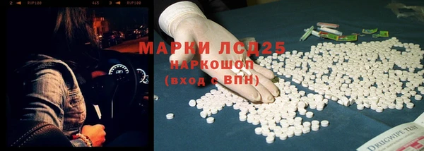 спайс Покачи