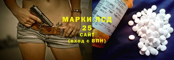 спайс Покачи