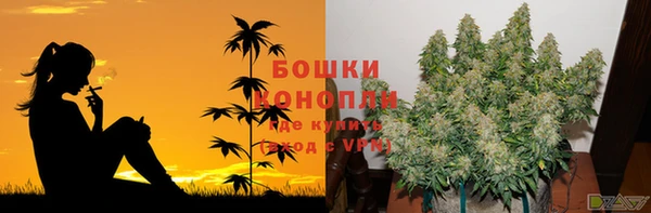 спайс Покачи