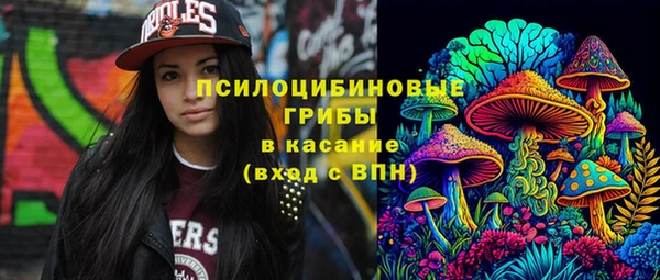 винт Пестово