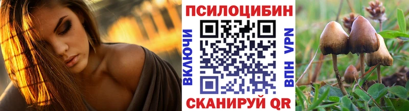 Галлюциногенные грибы Psilocybine cubensis  что такое   Киренск 