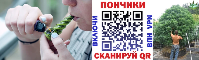 Шишки марихуана марихуана  купить наркотики сайты  Киренск 